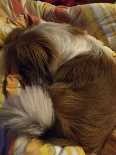 Foto Challenge Nr. 134-Beitrag-Bild