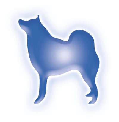 Hundeschulen-Kessler Dogs-Bild