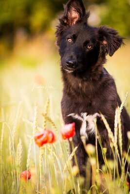 11. Farben Foto Challenge Rot-Beitrag-Bild