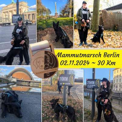 Charlie's Profilbild