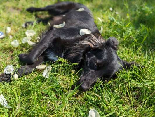 Foto Challenge Nr. 134-Beitrag-Bild