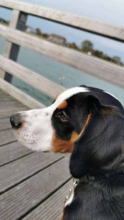 Fotochallange Nr. 57     PORTRÄT.   Beendet!!!!!!!!-Beitrag-Bild