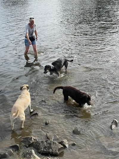 Hundmenschfotos-Beitrag-Bild