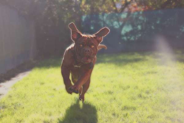 Fotochallange Nr. 57     PORTRÄT.   Beendet!!!!!!!!-Beitrag-Bild