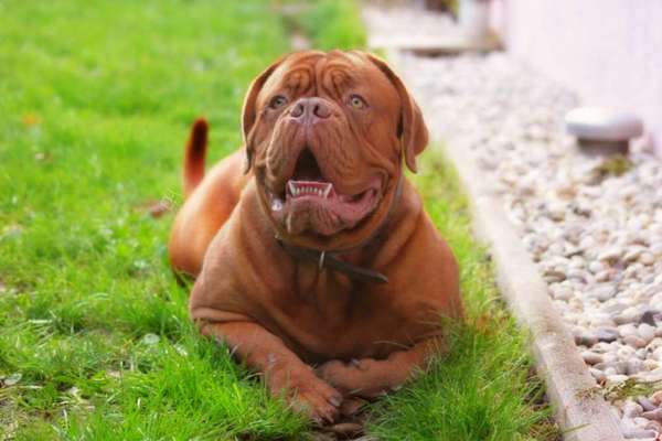 Fotochallange Nr. 57     PORTRÄT.   Beendet!!!!!!!!-Beitrag-Bild