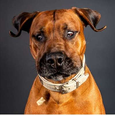 Fotochallange Nr. 6 Die irrsten Blicke-Beitrag-Bild