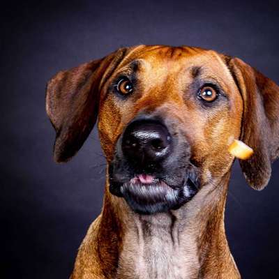 Fotochallange Nr. 6 Die irrsten Blicke-Beitrag-Bild