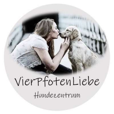 Hundeschulen-VierPfotenLiebe-Bild