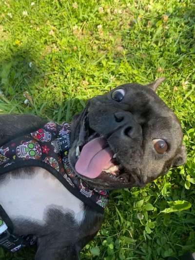 Her mit dem Grimassen-Beitrag-Bild