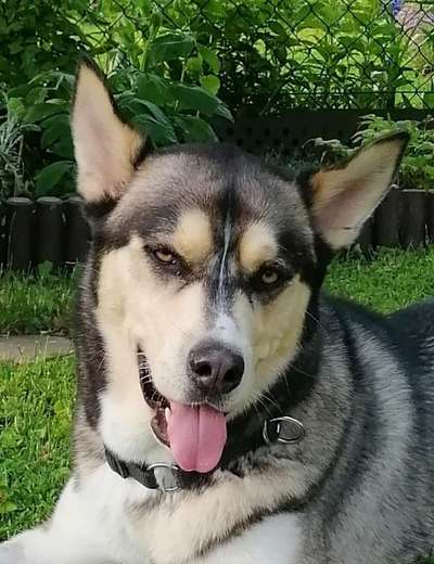 Fotochallange Nr. 57     PORTRÄT.   Beendet!!!!!!!!-Beitrag-Bild