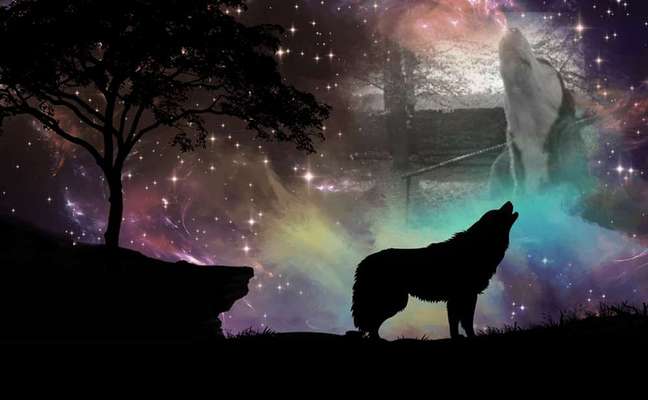 Photomontagen mit Hund-Beitrag-Bild