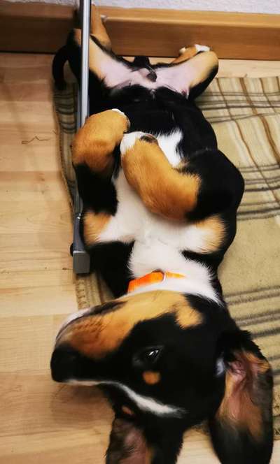 Die unbequemsten und lustigsten Schlafpositionen-Beitrag-Bild