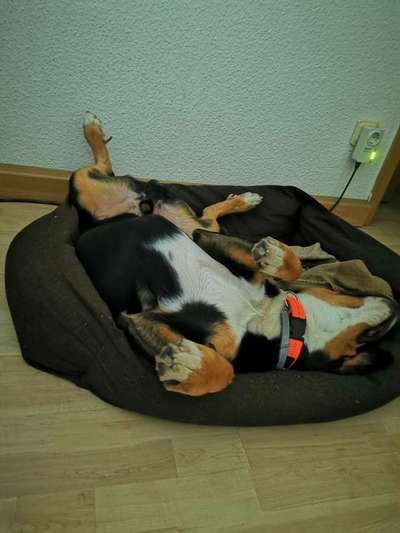 Die unbequemsten und lustigsten Schlafpositionen-Beitrag-Bild