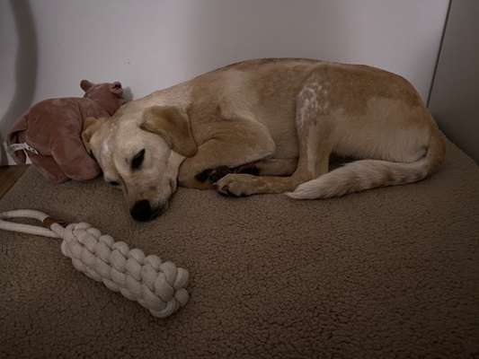 Lieblingsbild-Beitrag-Bild