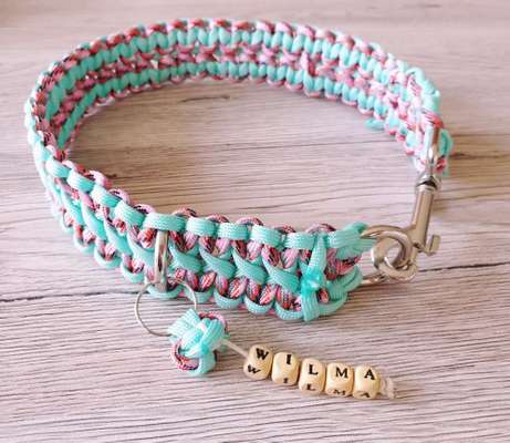 Selbstgemachte Artikel für Hunde-Beitrag-Bild