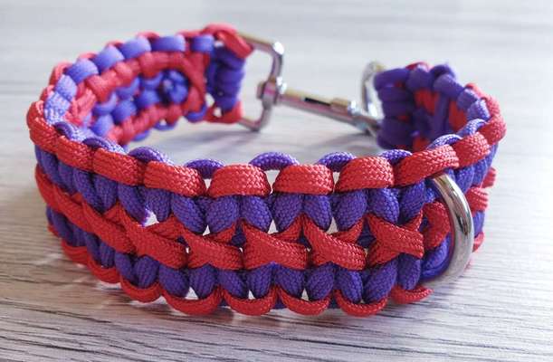 artikel-Beitrag-Bild