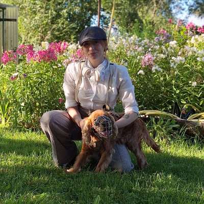 Hundetreffen-Hundesenioren Gassirunde