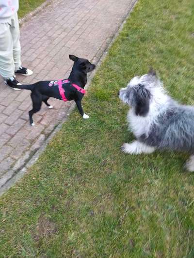 DNA test-Beitrag-Bild