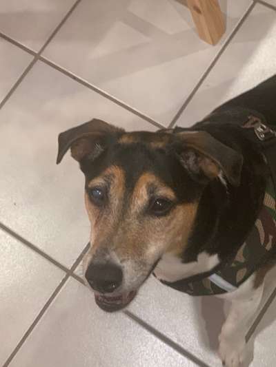 Trübes Auge bei Bindehautentzündung?-Beitrag-Bild