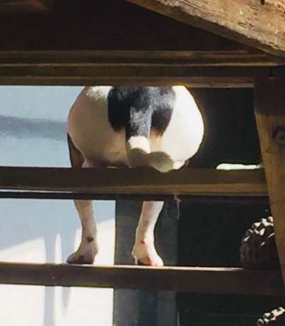 Fotochallenge No. 5-Beitrag-Bild