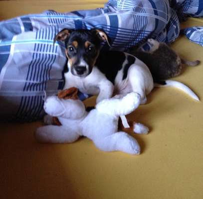 Foto Challenge 3-Beitrag-Bild