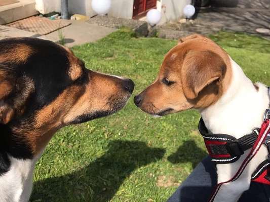 Foto Challenge 3-Beitrag-Bild