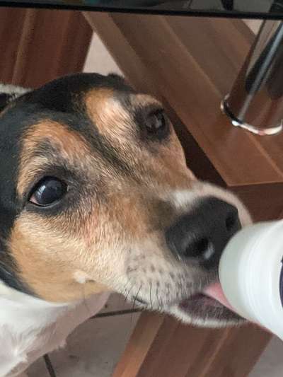 Trübes Auge bei Bindehautentzündung?-Beitrag-Bild