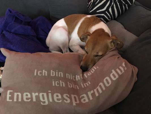 Fotochallenge No. 5-Beitrag-Bild