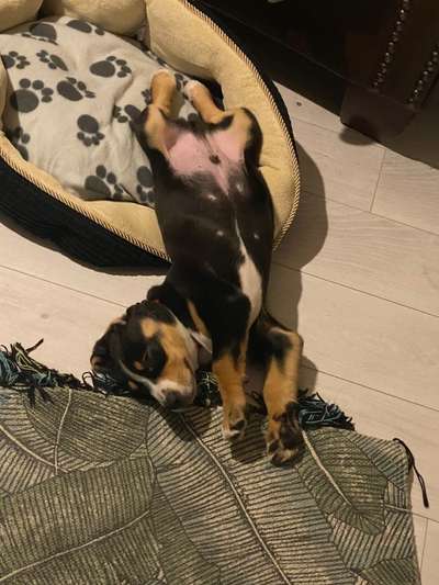 Fotochallenge Nr.65-Beitrag-Bild