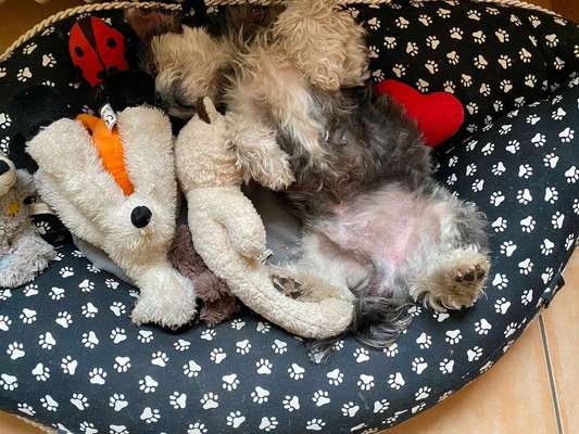 Die unbequemsten und lustigsten Schlafpositionen-Beitrag-Bild