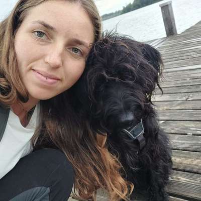 Hundetreffen-Social Walk Weisenau/Laubenheimer Höhe-Bild