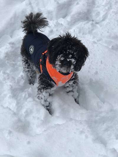 FOTO CHALLENGE Thema ,,durchdrehen"-Beitrag-Bild