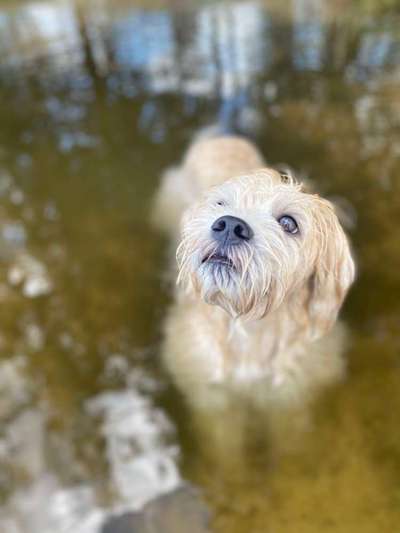 Handy-Foto Challange Nr. 10-Beitrag-Bild