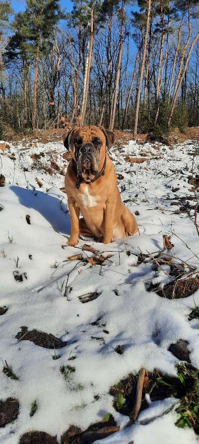 Schnee Foto-Beitrag-Bild