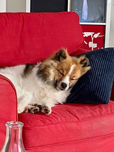 Foto Challenge Nr. 134-Beitrag-Bild