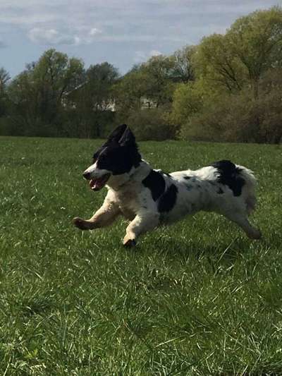 Handy-Foto-Challange Nr.9-Beitrag-Bild