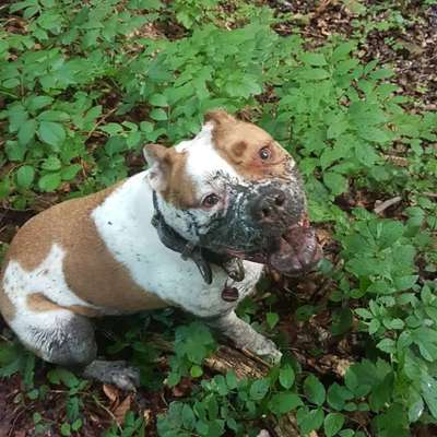 Lieblingsbild-Beitrag-Bild