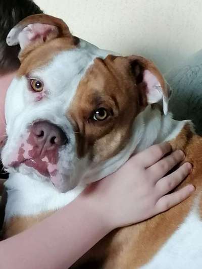 Fotochallange Nr. 57     PORTRÄT.   Beendet!!!!!!!!-Beitrag-Bild