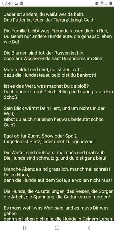 Mehrhundehaltung oder Einzelhund?-Beitrag-Bild