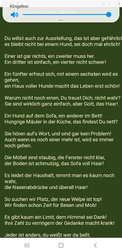 Mehrhundehaltung oder Einzelhund?-Beitrag-Bild