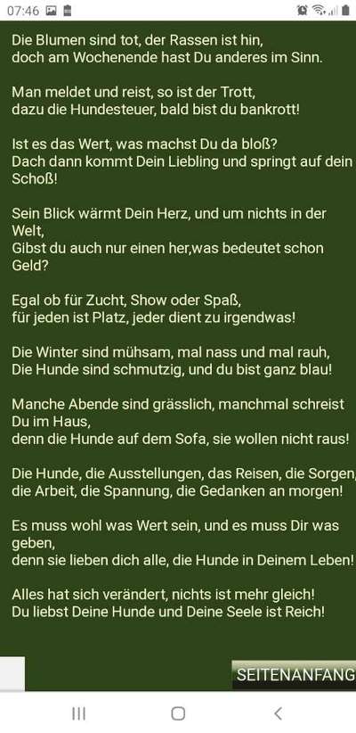 Mehrhundehaltung oder Einzelhund?-Beitrag-Bild