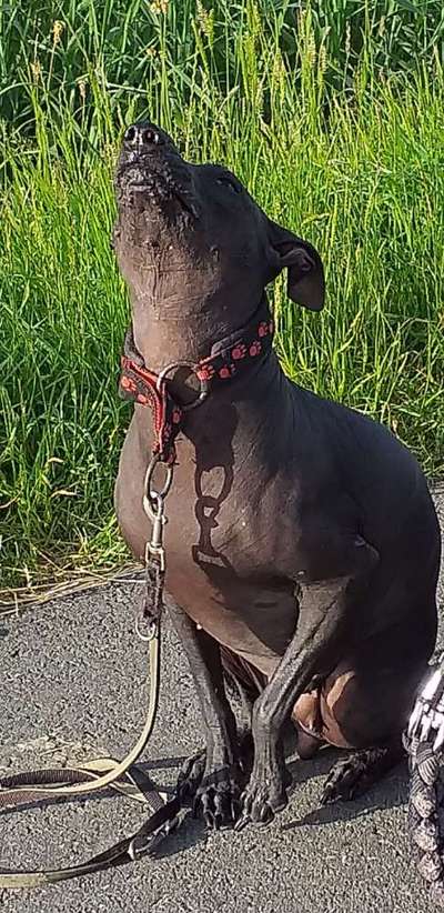 FOTOCHALLENGE 86-Beitrag-Bild