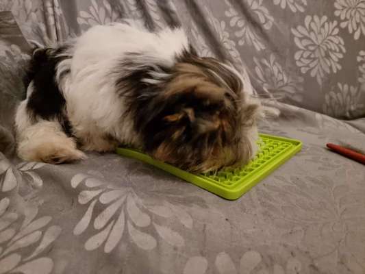 Stress beim kämmen, bürsten...-Beitrag-Bild