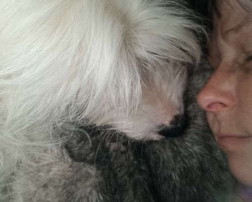 Gemeinsames Kuscheln im Bett!-Beitrag-Bild