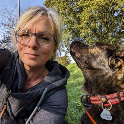 Hundetreffen-Spielrunde-Profilbild