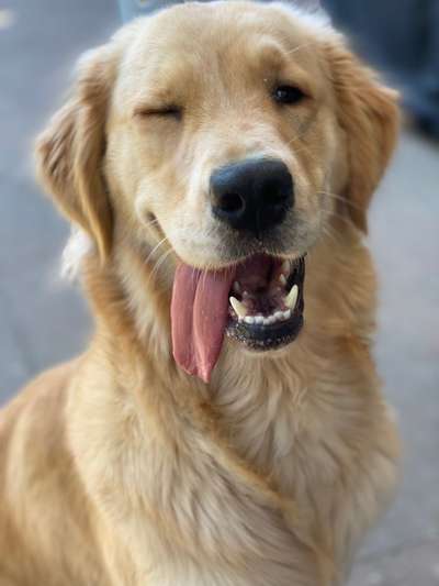 Fotochallenge Nr. 67: Euer Lieblingsbild-Beitrag-Bild