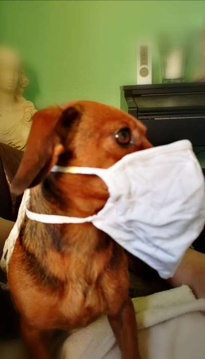 Fotochallange Nr. 57     PORTRÄT.   Beendet!!!!!!!!-Beitrag-Bild