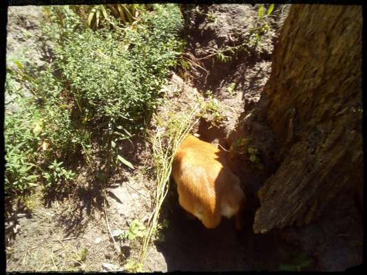 Spielen beibringen-Beitrag-Bild