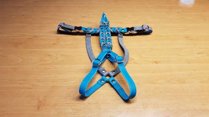 Selbstgemachte Artikel für Hunde-Beitrag-Bild