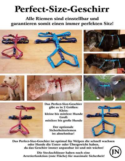 Welches Geschirr???-Beitrag-Bild